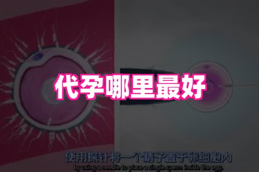 长沙助孕网站 1